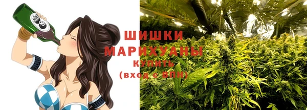 амф Мегион