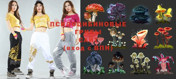 хмурый Михайловск