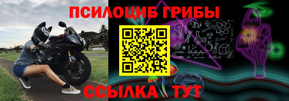 Кувандык  Псилоцибиновые грибы GOLDEN TEACHER  Вход с VPN  Галлюциногенные грибы ЛСД 