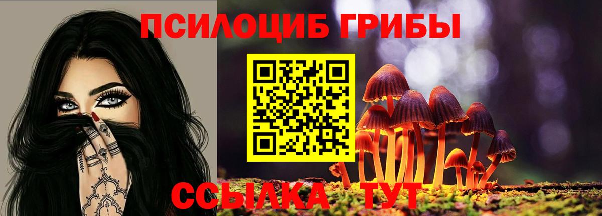 Галлюциногенные грибы Cubensis Кувандык