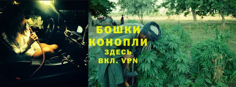 мориарти наркотические препараты  купить   Кувандык  Каннабис Bruce Banner 